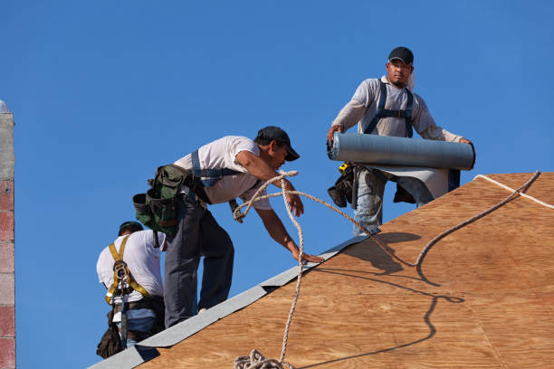 Sealant for Roof in Rawlins, WY